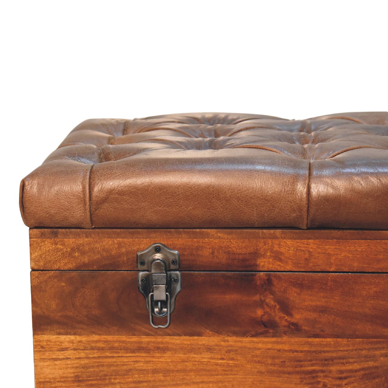 Buffalo Hide Chestnut Storage Trunk - Image 5