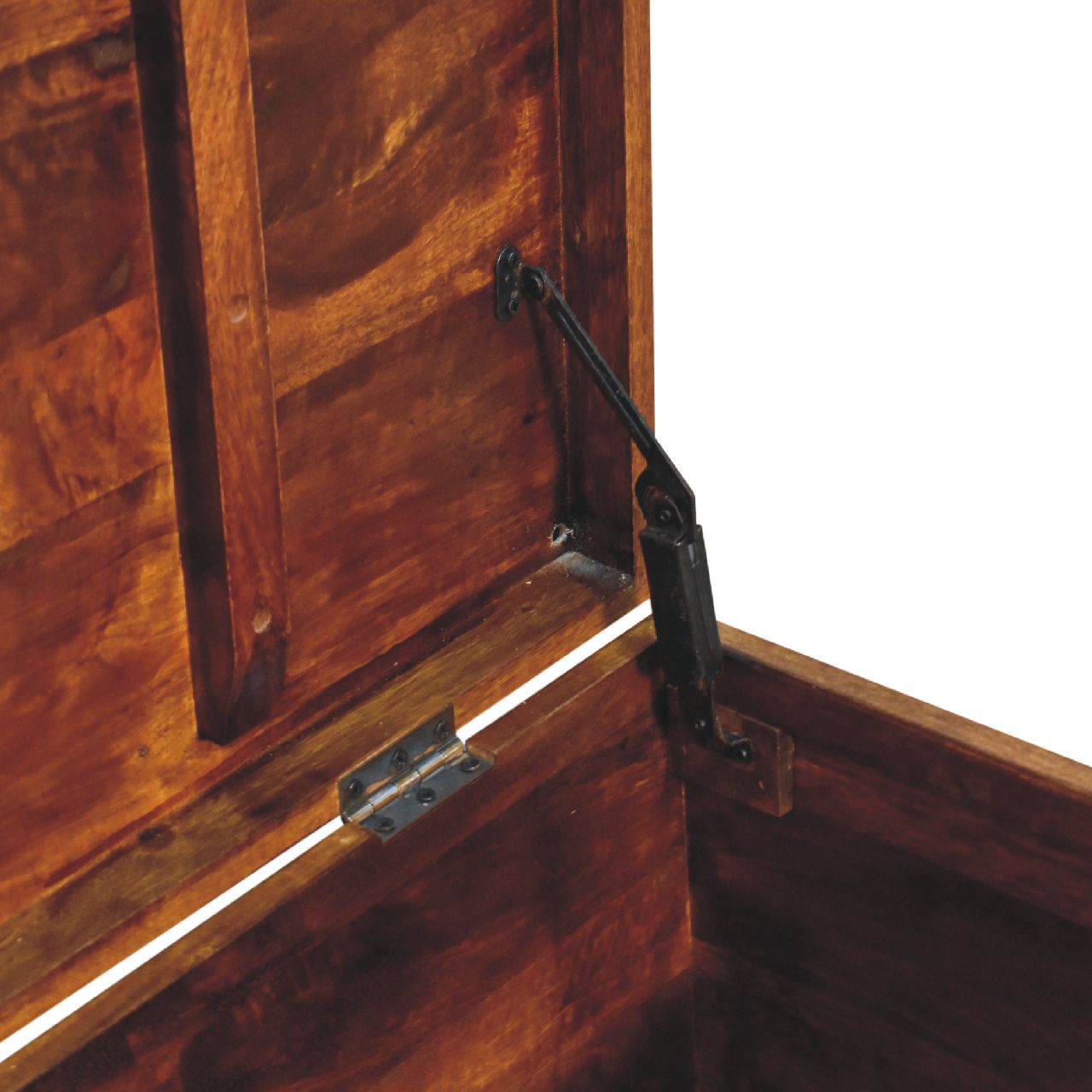 Buffalo Hide Chestnut Storage Trunk - Image 8