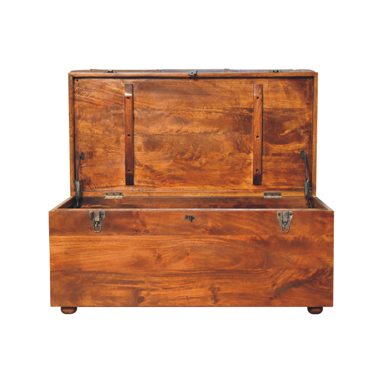 Buffalo Hide Chestnut Storage Trunk - Image 9